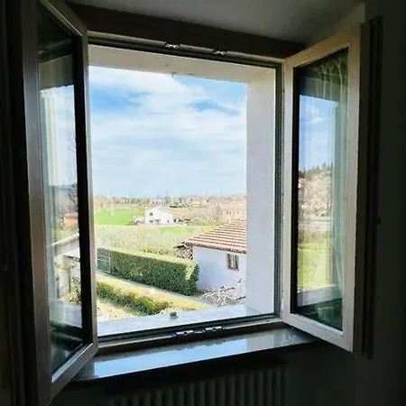 Gallo Rosso * Calcinelli